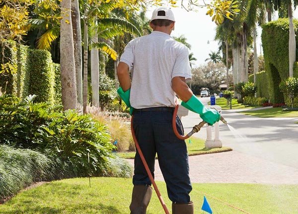 About Hopkins MN Pest Control Pros